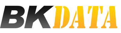 BK Data Logo